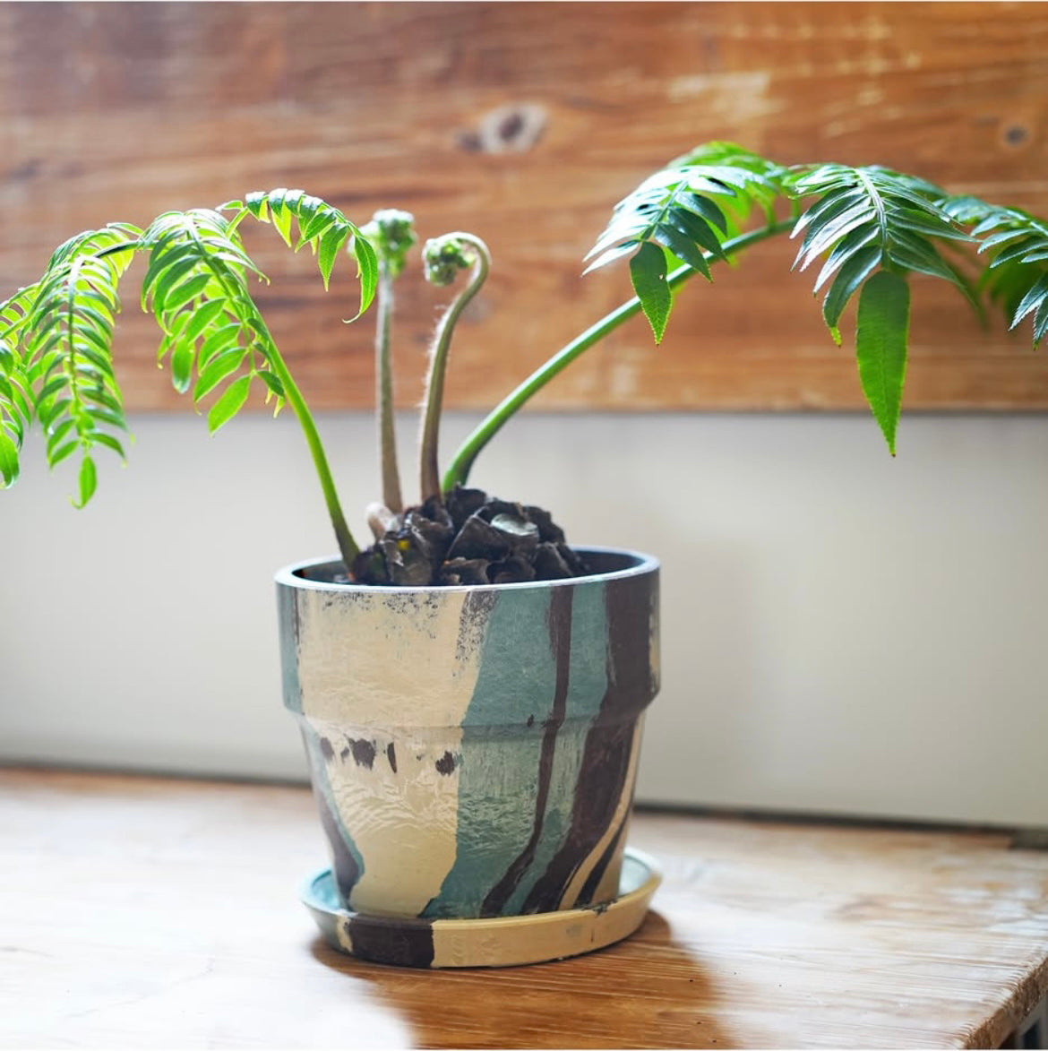 FLOWER POT//Green camo