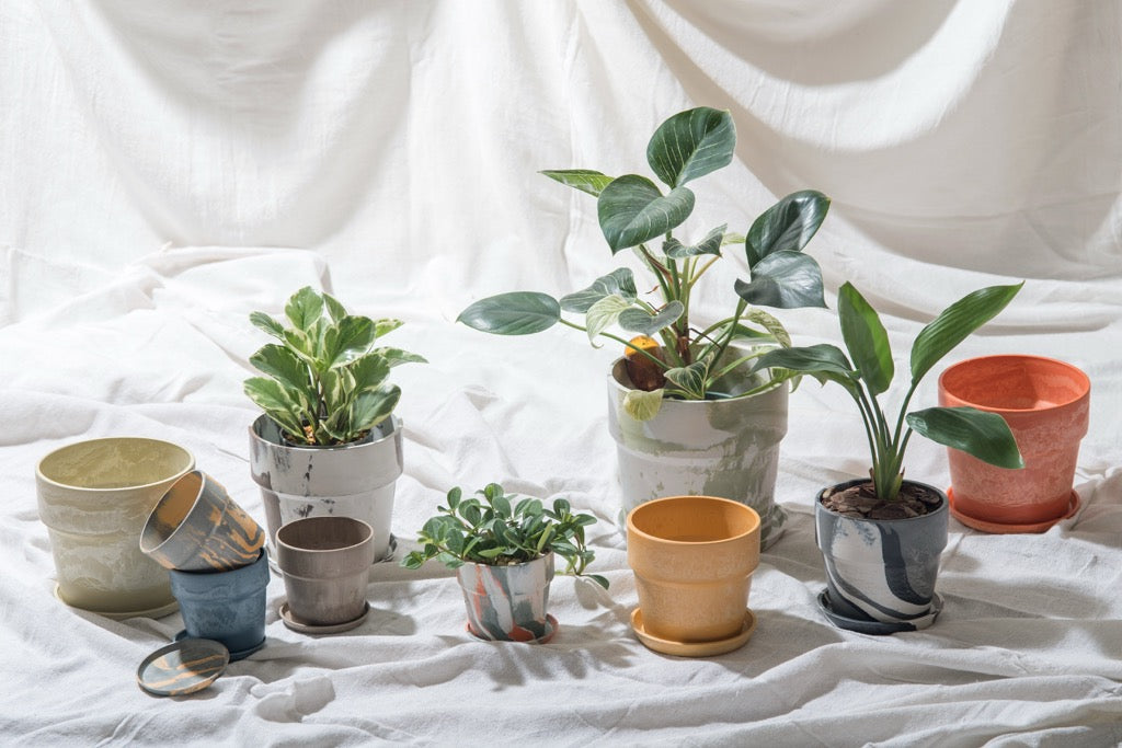 FLOWER POT//Cinnamon