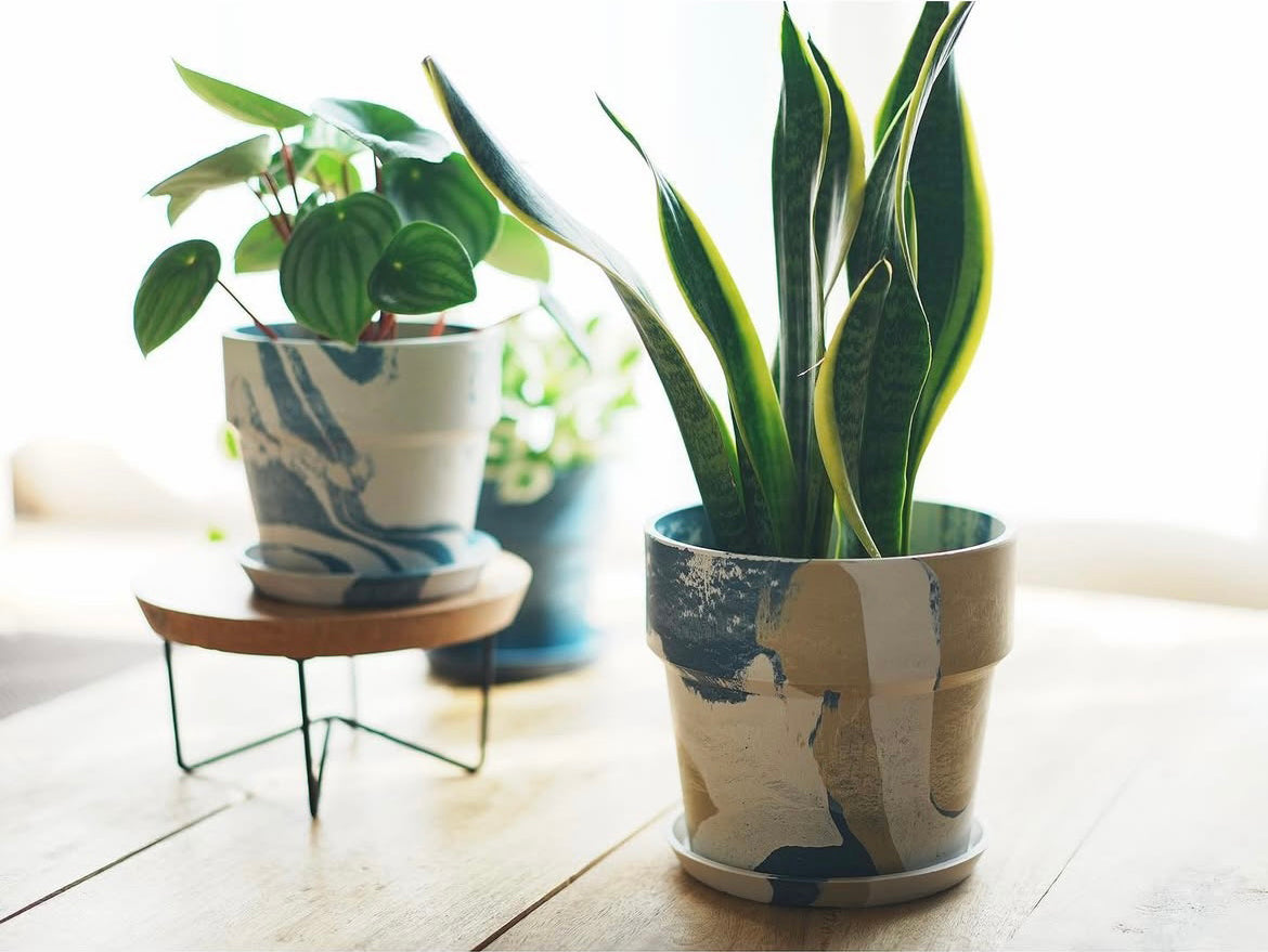 FLOWER POT//Milk&Blueberry