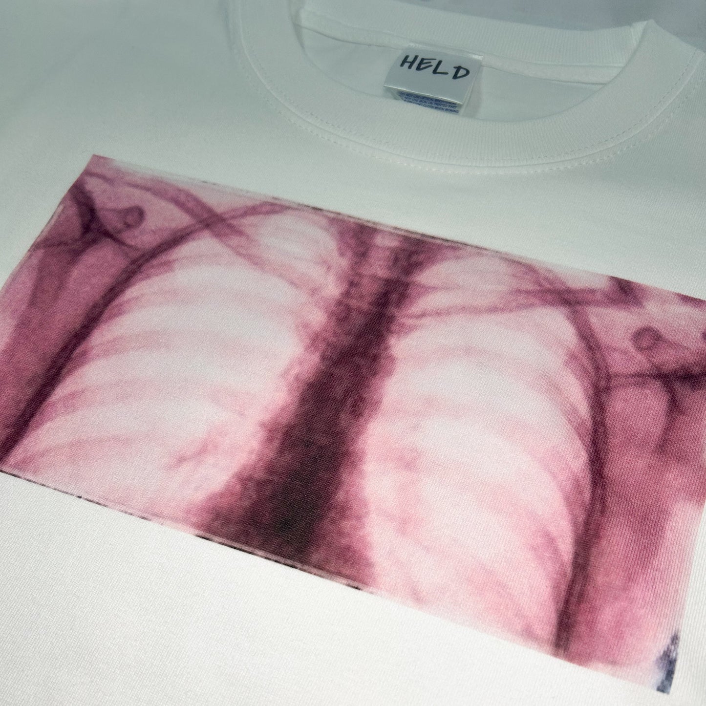 HELD XPLONGTEE003//BLUE/PINK