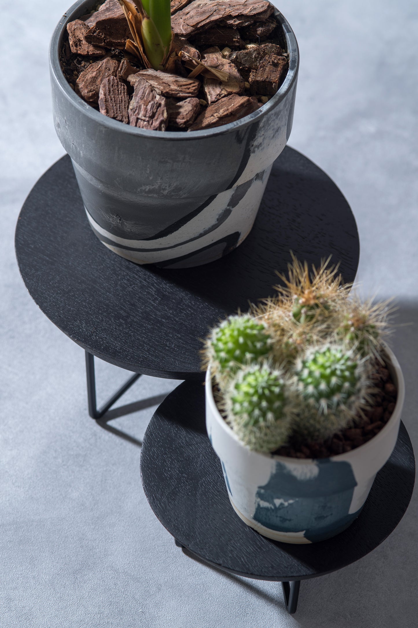 FLOWER POT//Milk&Blueberry